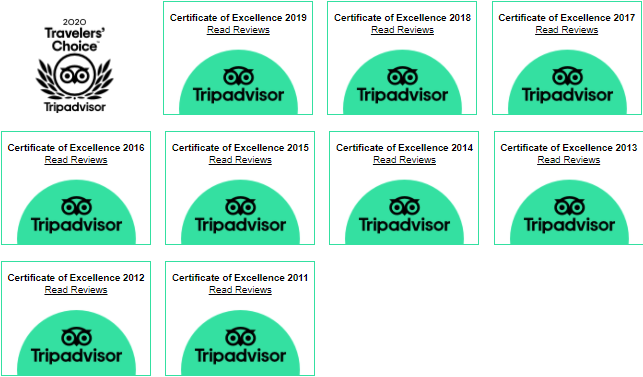 Certificate of Excellence since 2011