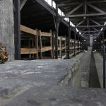 Auschwitz Day Trips from Prague