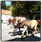 The castle is situated on a hill, and it is necessary to climb a steep road for about one kilometer. You can walk, take a taxi or a ride in a horse carriage.