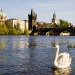 prague tours: charles bridge