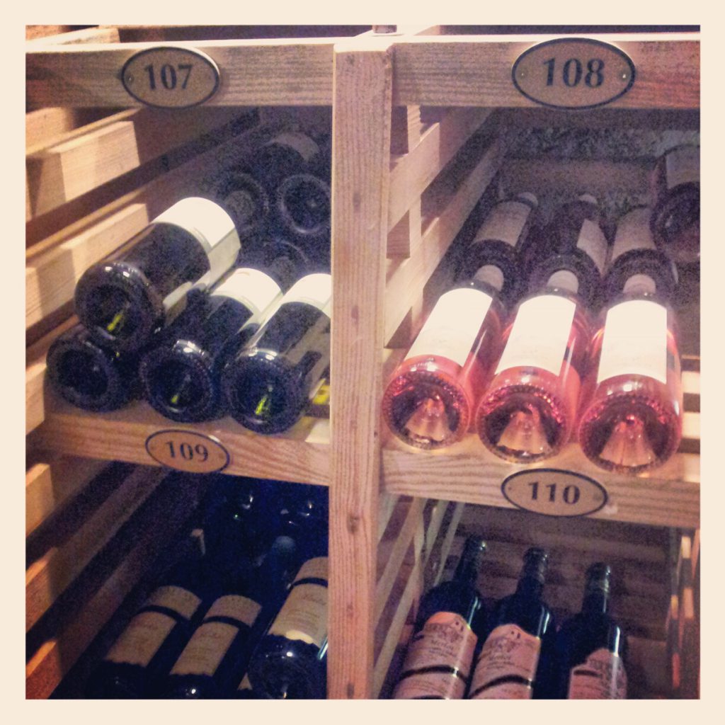 Wine Tasting in Moravia Prague Tours Private Day Trips from Prague