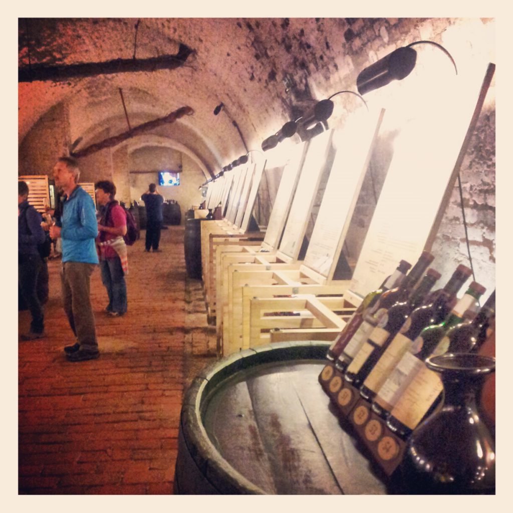 Wine Tasting in Moravia Prague Tours Private Day Trips from Prague